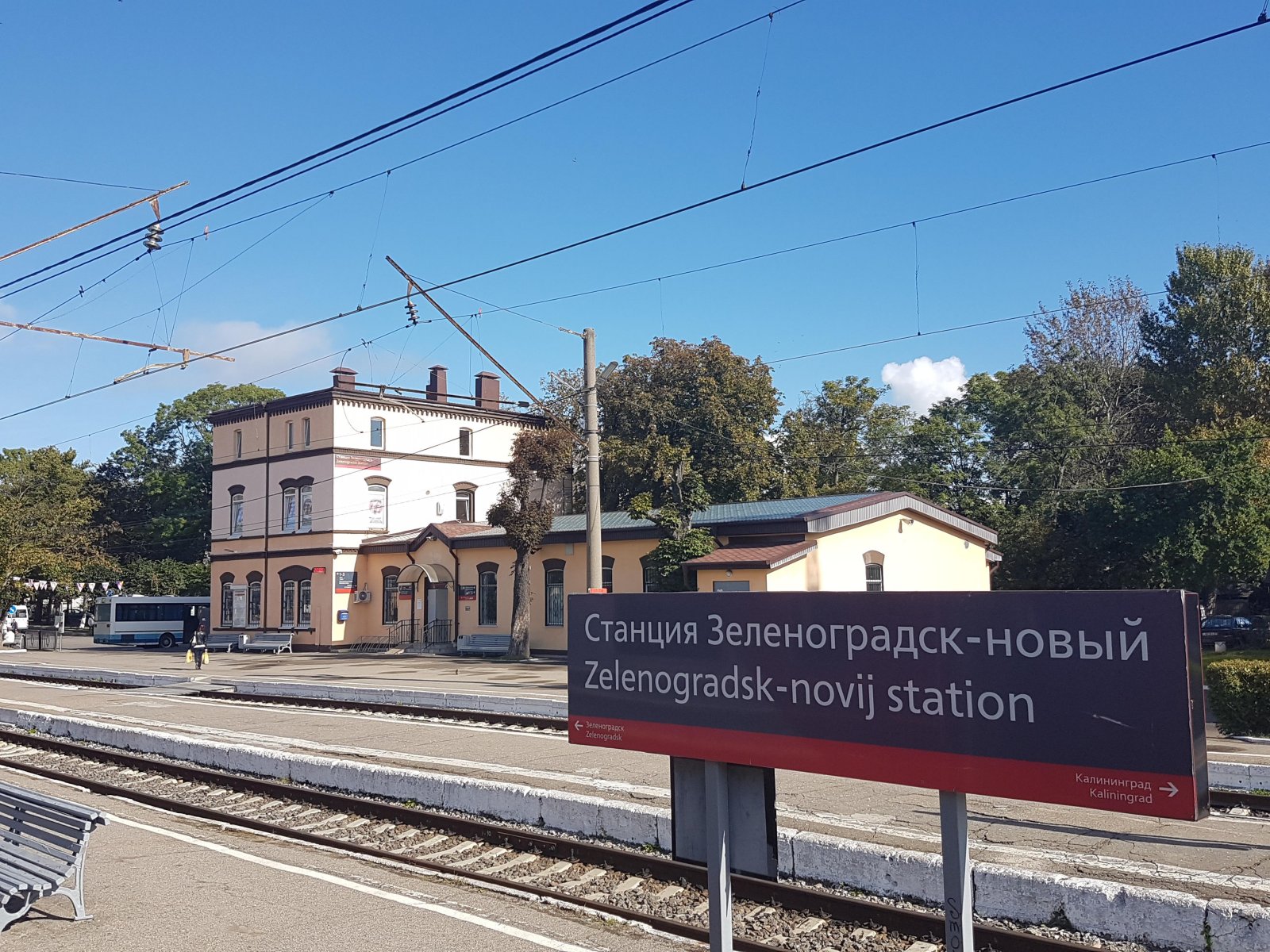 Зеленоградск В Новый Год Фото Зеленоградск В Новый Год Фото